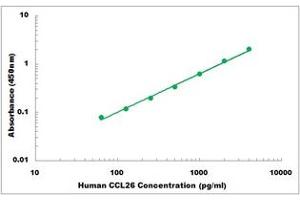 Representative Standard Curve (CCL26 ELISA Kit)