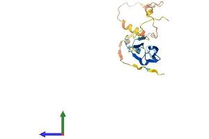 Protein Structure (PS) image for Heat Shock 27kDa Protein 1 (HSPB1) (AA 1-205) protein (His tag) (ABIN7548373)