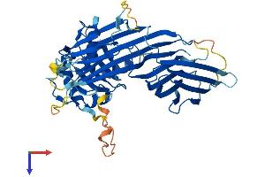 AP4M1 Protein (AA 1-449) (His tag)