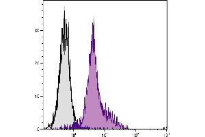 BALB/c mouse splenocytes were stained with Rat Anti-Mouse CD11a-UNLB. (ITGAL Antikörper)