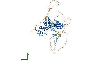 Protein Structure (PS) image for Regulator of G-Protein Signaling 14 (RGS14) (AA 1-547) protein (His tag) (ABIN7563558)