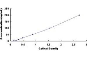 DPP6 ELISA Kit