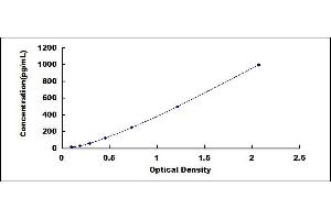 R-Spondin 1 (RSPO1) ELISA Kit
