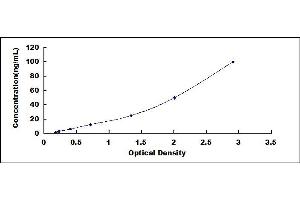 Typical standard curve (PRB1 ELISA Kit)