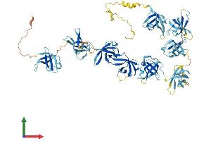 Protein Structure (PS) image for Cold Shock Domain Containing E1, RNA-Binding (CDSE1) (AA 1-798) protein (His tag) (ABIN7553592)