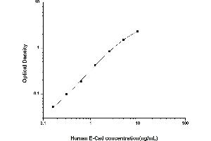 E-cadherin ELISA Kit