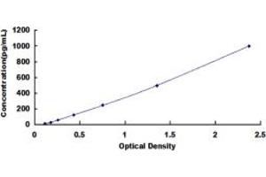 Typical standard curve (Renin ELISA Kit)