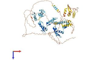 ZNF336 Protein (AA 1-706) (His tag)