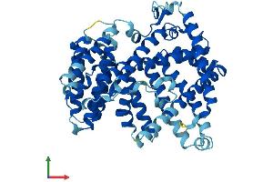 Protein Structure (PS) image for Hedgehog Acyltransferase-Like (HHATL) (AA 1-503) protein (His tag) (ABIN7560884)