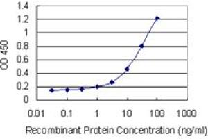 Detection limit for recombinant GST tagged RAMP1 is 0. (RAMP1 Antikörper  (AA 27-117))