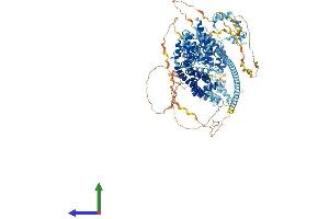 Protein Structure (PS) image for Diaphanous Homolog 1 (DIAPH1) (AA 1-1255) protein (His tag) (ABIN7562209)