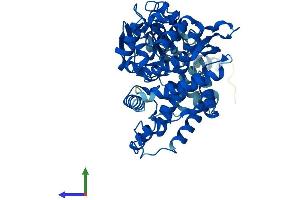 AlphaFold protein structure predicition of Mouse Recombinant Cyp2d26 Protein, UniprotID Q8CIM7
