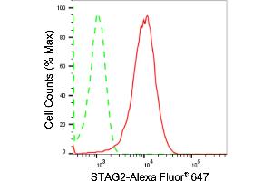 Flow cytometric analysis of STAG2 expression in HepG2 cells using STAG2 antibody (ABIN7800974), 1:2,000). (Rekombinanter STAG2 Antikörper)