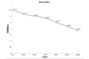 Antigen: 0. (IQCJ Antikörper  (AA 47-67))