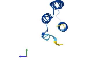 AlphaFold protein structure predicition of Mouse Recombinant Lyrm9 Protein, UniprotID Q3UN90