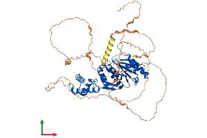 Protein Structure (PS) image for SUMO/sentrin Specific Peptidase 3 (SENP3) (AA 1-574) protein (His tag) (ABIN7555488)