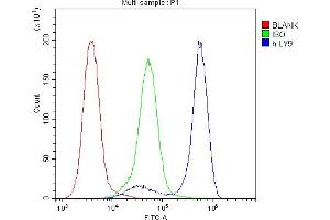 Flow Cytometry analysis of Jurkat cells using anti-CD229 antibody (ABIN6719290).