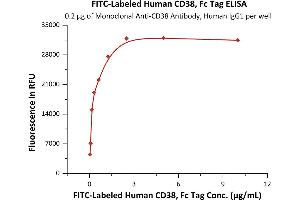 Immobilized Monoclonal A Antibody, Human IgG1 at 2 μg/mL (100 μL/well) can bind Fed Human CD38, Fc Tag (ABIN6972987) with a linear range of 0. (CD38 Protein (AA 43-300) (Fc Tag,FITC))