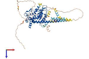 HS6ST2 Protein (AA 1-612) (His tag)