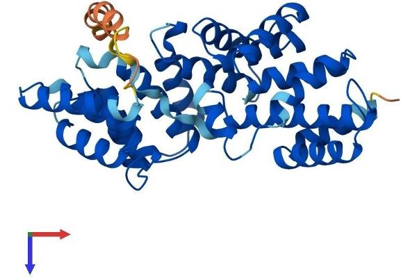 LRP2BP Protein (AA 1-346) (His tag)