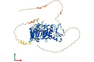 Protein Structure (PS) image for CDC14 Cell Division Cycle 14B (CDC14B) (AA 1-498) protein (His tag) (ABIN7553195)