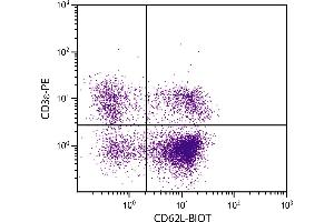 BALB/c mouse splenocytes were stained with Rat Anti-Mouse CD62L-BIOT. (L-Selectin Antikörper  (Biotin))