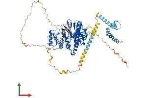 Protein Structure (PS) image for FERM Domain Containing 3 (FRMD3) (AA 1-595) protein (His tag) (ABIN7558630)