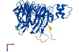 KLHDC3 Protein (AA 1-382) (His tag)