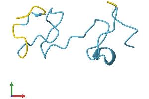 Protein Structure (PS) image for Metallothionein 1G (MT1G) (AA 1-62) protein (Fc Tag) (ABIN7549518)