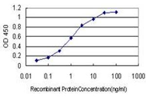 Detection limit for recombinant GST tagged TAC3 is approximately 0. (Tachykinin 3 Antikörper  (AA 17-121))
