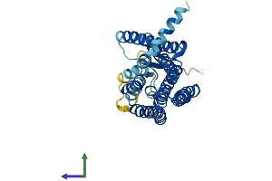 AlphaFold protein structure predicition of Human Recombinant OR8H1 Protein, UniprotID Q8NGG4 (OR8H1 Protein (AA 1-311) (His tag))