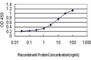Detection limit for recombinant GST tagged ENO2 is approximately 0. (ENO2/NSE Antikörper  (AA 325-434))