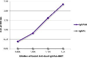 ELISA plate was coated with purified goat IgG Fab and IgG Fc. (Kaninchen anti-Ziege IgG (Fab Region) Antikörper)