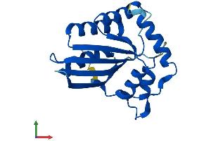 Protein Structure (PS) image for Apolipoprotein B mRNA Editing Enzyme, Catalytic Polypeptide-Like 3C (APOBEC3C) (AA 1-190) protein (His tag) (ABIN7551841)