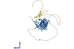 Protein Structure (PS) image for Early B-Cell Factor 3 (EBF3) (AA 1-596) protein (His tag) (ABIN7546650)