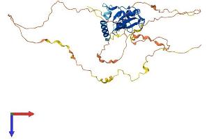 SH2D2A Protein (AA 1-389) (His tag)