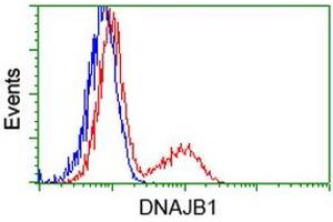 HEK293T cells transfected with either RC201762 overexpress plasmid (Red) or empty vector control plasmid (Blue) were immunostained by anti-DNAJB1 antibody (ABIN2454060), and then analyzed by flow cytometry. (DNAJB1 Antikörper)