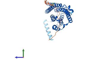 Protein Structure (PS) image for ELOVL Fatty Acid Elongase 2 (ELOVL2) (AA 1-296) protein (His tag) (ABIN7553782)