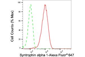 Flow cytometric analysis of syntrophin alpha 1 expression in HT- cells using syntrophin alpha 1 antibody (ABIN7800498), 1:2,000).