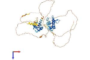 ETV6 Protein (AA 1-485) (His tag)