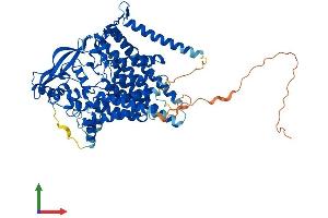 Protein Structure (PS) image for Lipase Maturation Factor 2 (LMF2) (AA 1-707) protein (His tag) (ABIN7554421)