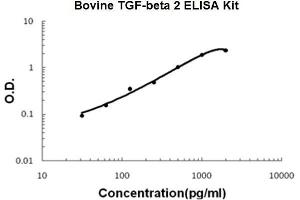 Bovine TGF-beta 2 PicoKine ELISA Kit standard curve (TGFB2 ELISA Kit)