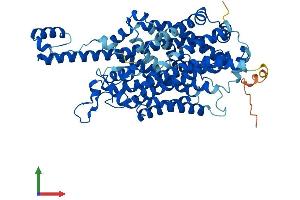 Protein Structure (PS) image for Solute Carrier Family 6 (Neutral Amino Acid Transporter), Member 19 (SLC6A19) (AA 1-634) protein (His tag) (ABIN7564991)
