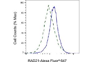Validation of RAD21 knockdown using flow cytometry. (Rekombinanter RAD21 Antikörper)
