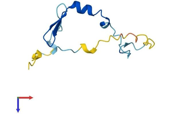 EIF4EBP3 Protein (AA 1-100) (His tag)