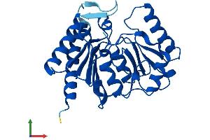 Protein Structure (PS) image for Inositol(myo)-1(or 4)-Monophosphatase 1 (IMPA1) (AA 1-277) protein (His tag) (ABIN7548480)