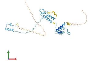 Protein Structure (PS) image for Intraflagellar Transport 46 (IFT46) (AA 1-304) protein (His tag) (ABIN7548525)