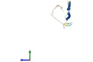 Keratin 27 (KRT27) (AA 1-448) protein (His tag)
