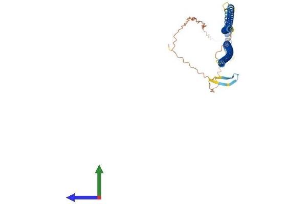 Keratin 27 (KRT27) (AA 1-448) protein (His tag)