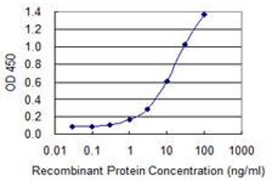 Detection limit for recombinant GST tagged CGB7 is 0. (CGB7 Antikörper  (AA 56-165))